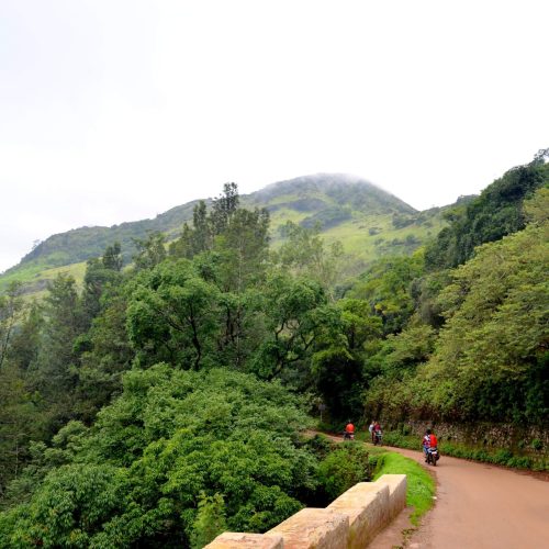 6-nights-7-days-chikmagalur-coorg-and-mysore-tour-package-JustWravel-1597395239-1