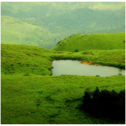 Mysore + Wayanad